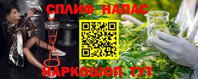 крисы Шахты