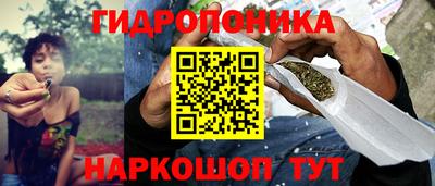 крисы Шахты
