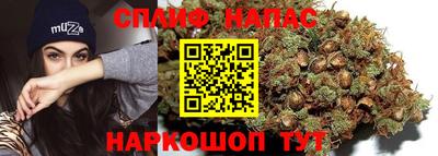 крисы Шахты