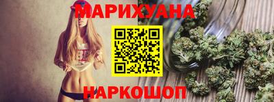 крисы Шахты