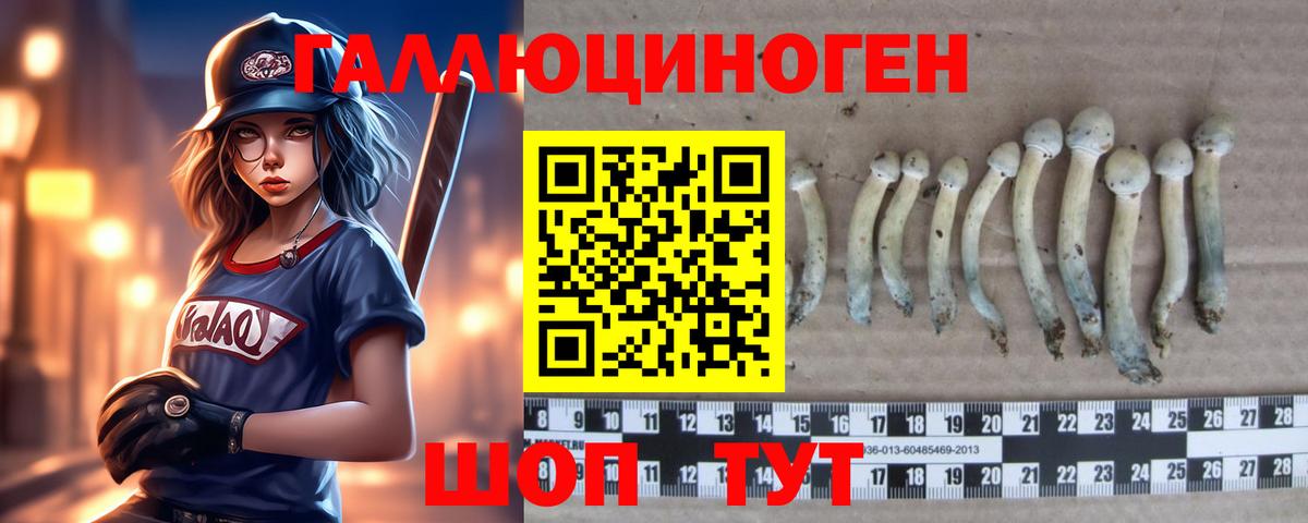Димитровград  Галлюциногенные грибы GOLDEN TEACHER  Вход с VPN 